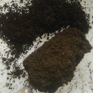 Palada compost maduro