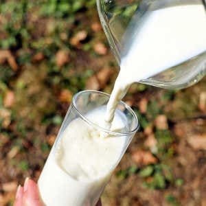 Echando leche en un vaso en el campo