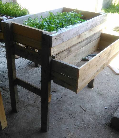 Mesa de cultivo de dos pisos hecha con palets
