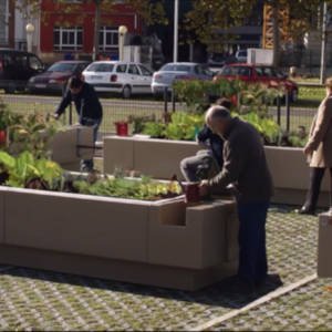 Huerto urbano en un parque