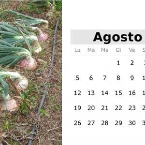 agosto