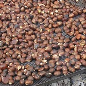castanas-en-el-fuego