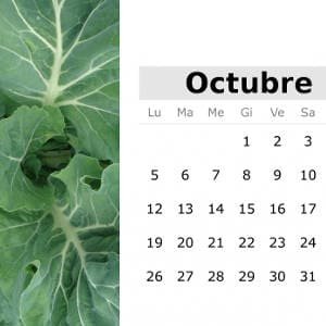 Calendario de octubre