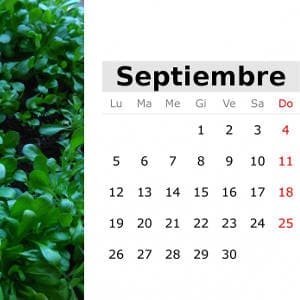 Calendario de septiembre