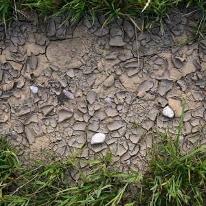 Tierra seca con césped a los lados