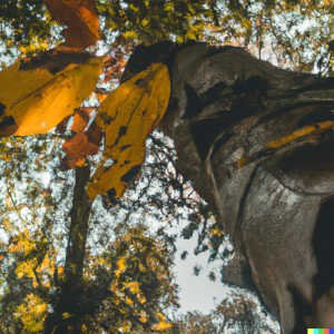 Caida hojas tronco arbol octubre