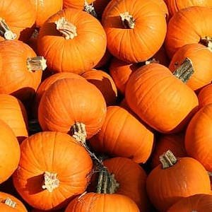 calabazas-amontonadas.jpg