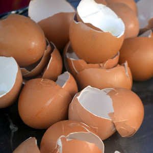 Cascaras huevo abono