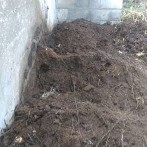 Compost casi maduro