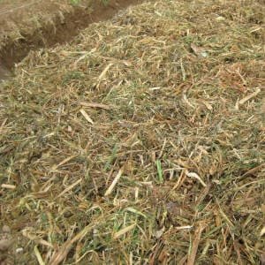 mulching-acolchado.jpg