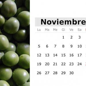 noviembre.jpg