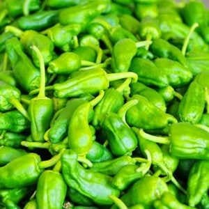 pimientos-padron-cosechados.jpg