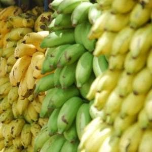 platanos-apilados.jpg