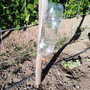 Sistema de riego con botellas plásticas