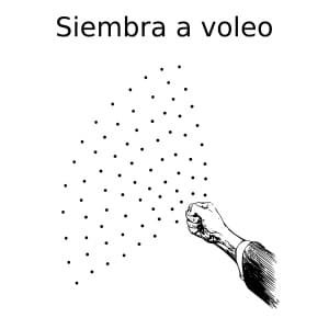 siembra-voleo.jpg