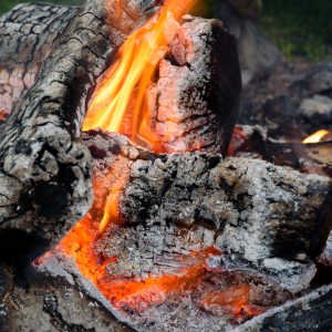 troncos-ardiendo-ceniza